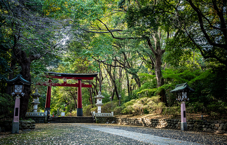ジオガーデン杉並永福