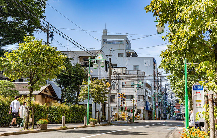 ジオガーデン世田谷中町三丁目