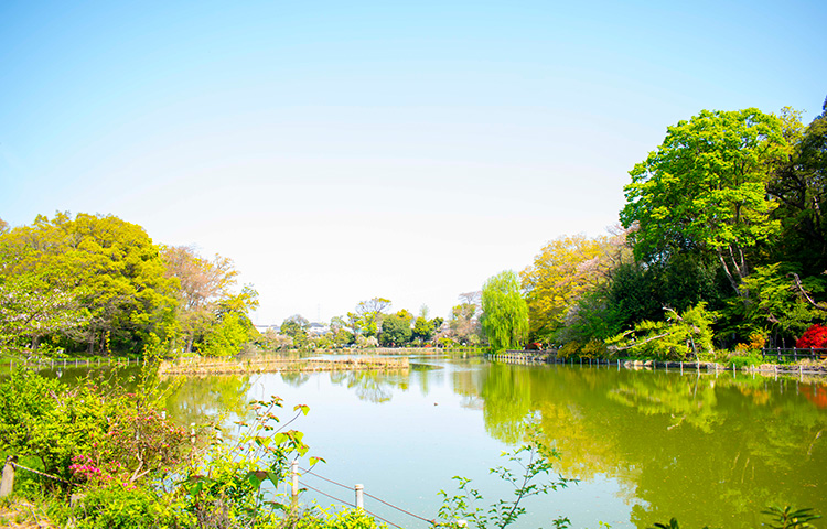 杉並区善福寺2丁目