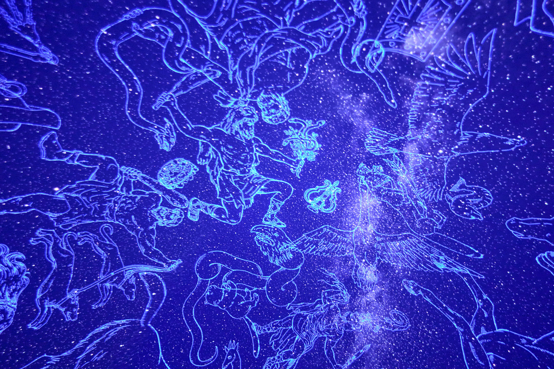 DOME2に映し出された満点の星々