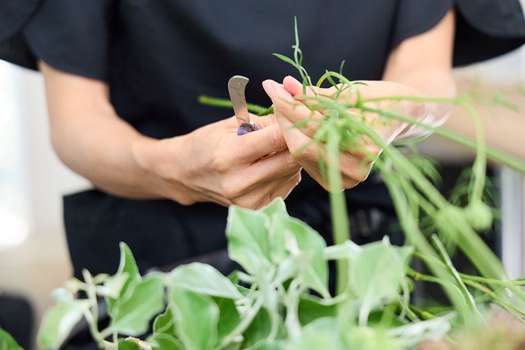 『日比谷公園本店』の作業場、ハサミで花を切る