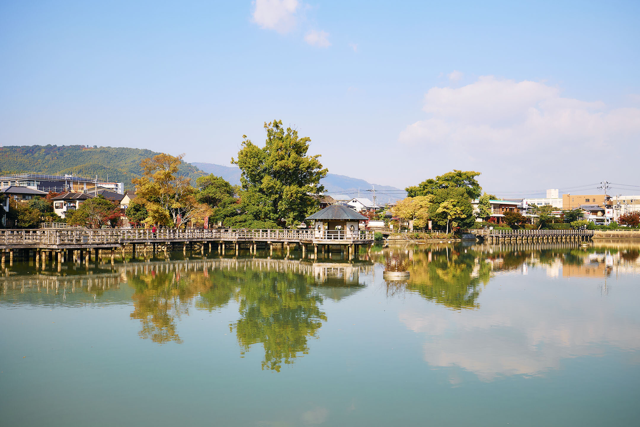 中央には檜造の水上橋に設けられた「六角舎」が。八条ヶ池の美しい風景
