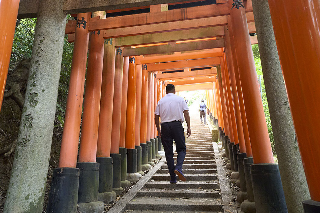 鳥居が連なる稲荷山の石段を登る長谷川さんの後ろ姿