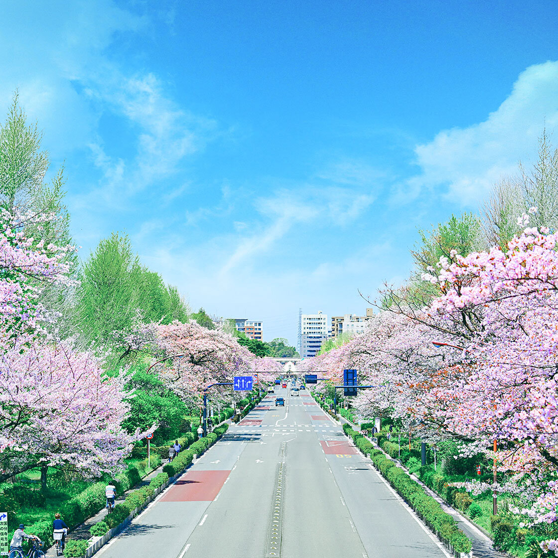 [画像]