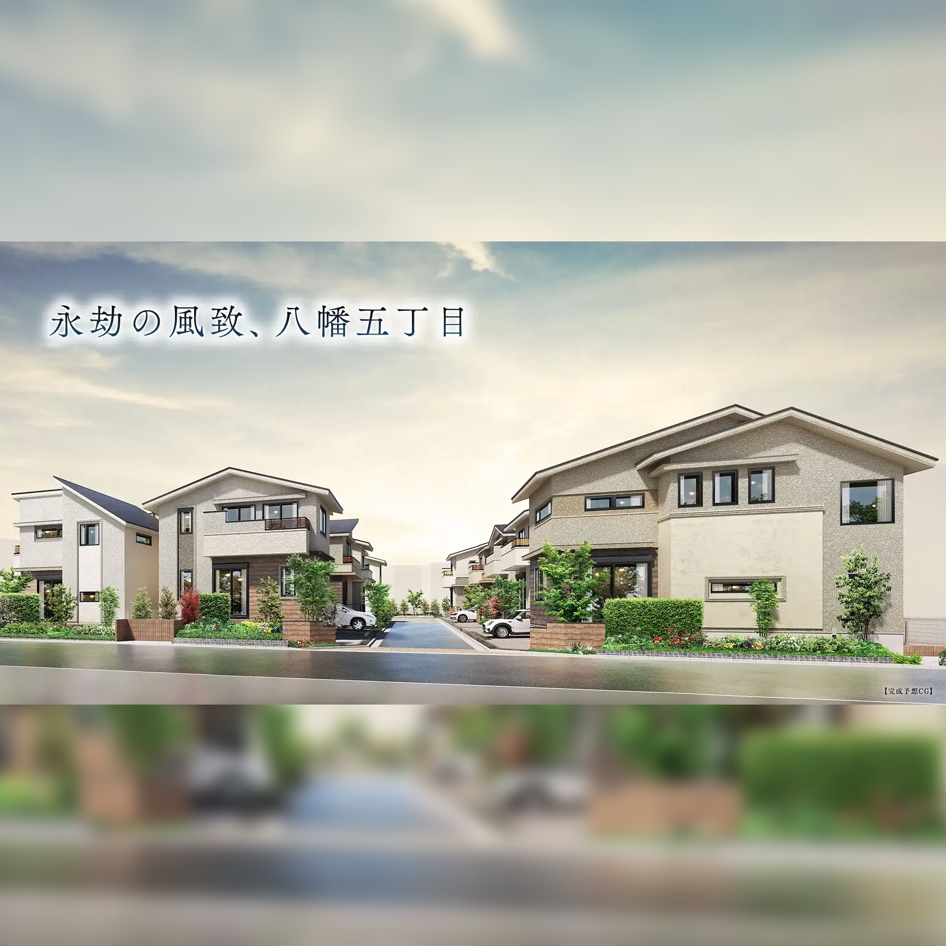 [画像]