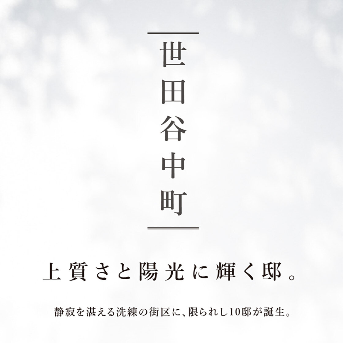 [画像]