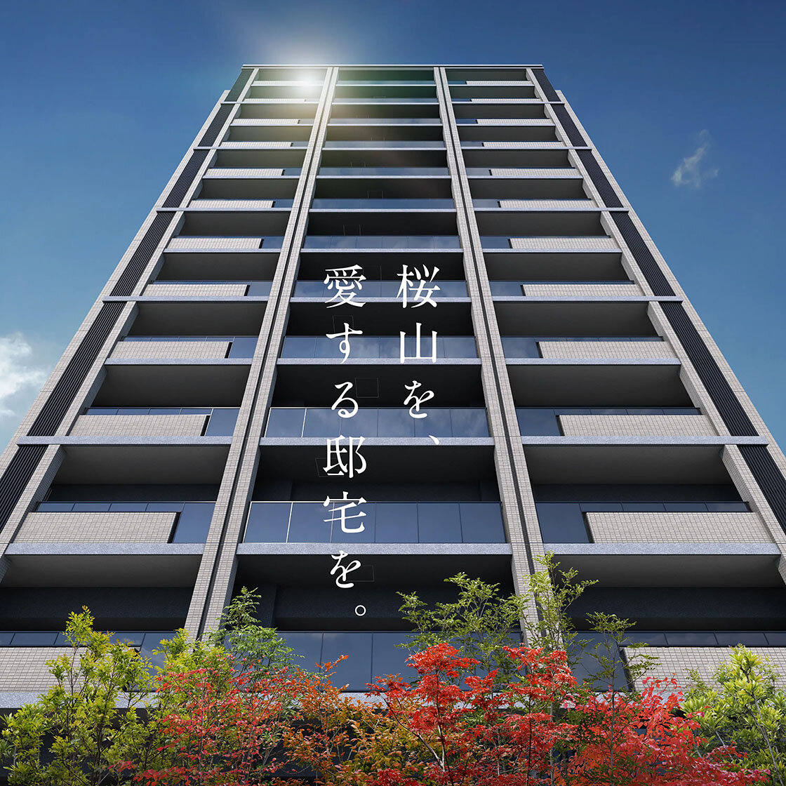 [画像]