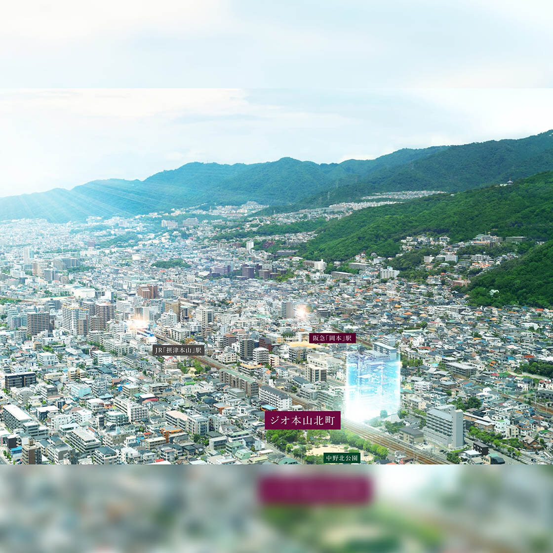 [画像]