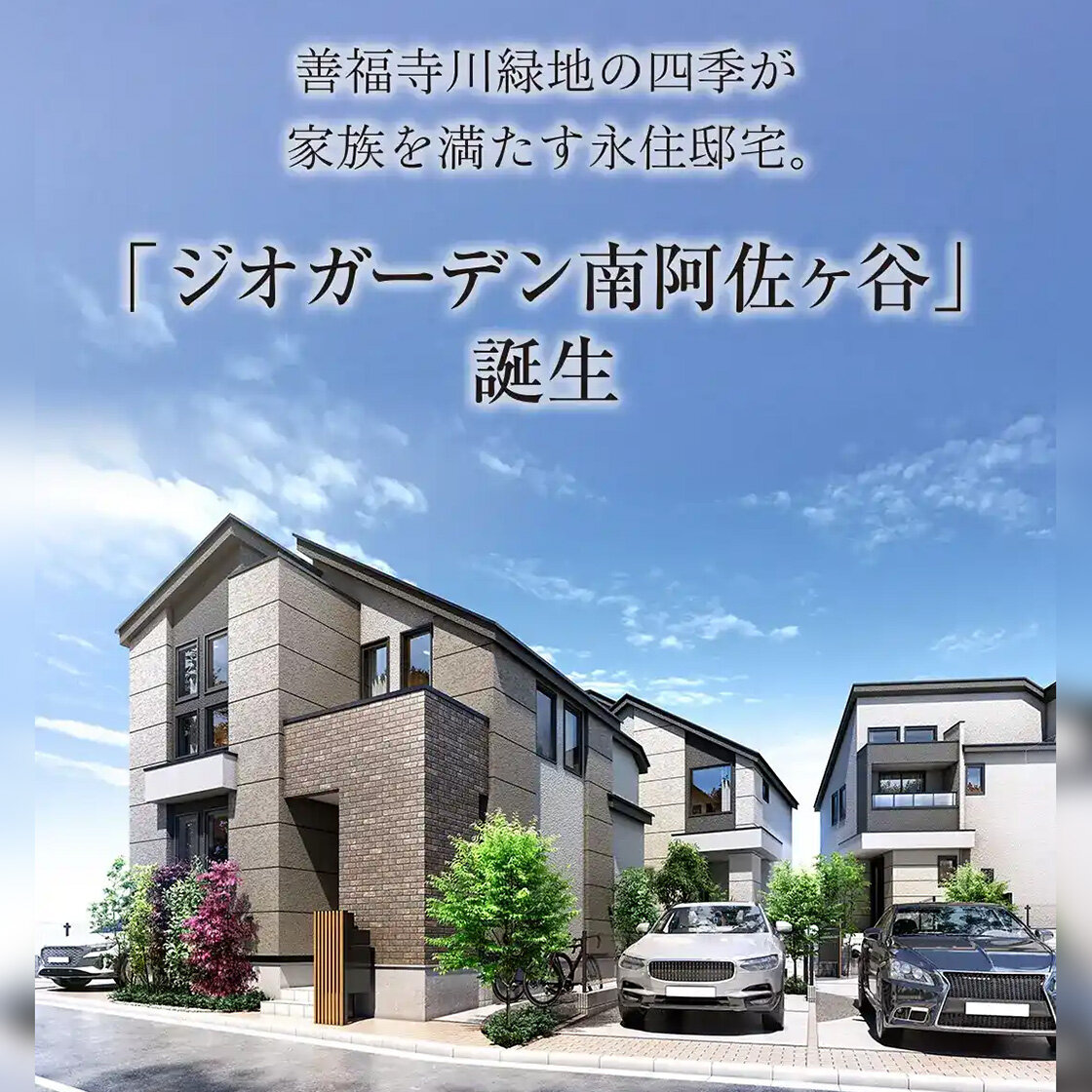 [画像]