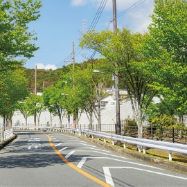 けやき並木のメインストリート沿い