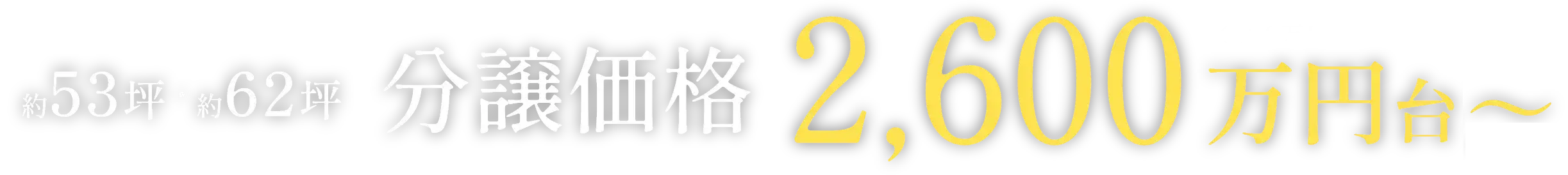 分譲価格